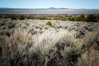 New Mexico